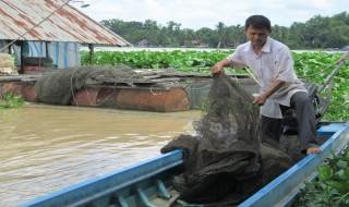 Thiệt hại nặng vì nước sông ô nhiễm