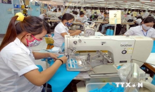Thách thức về việc làm khi Việt Nam gia nhập TPP và EVFTA