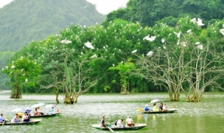 Có một vườn chim giữa lòng Tràng An