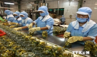 Việt Nam trước cơ hội lớn xuất khẩu nông sản, thực phẩm sang Nga