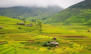 Đẹp say lòng Mù Cang Chải chớm thu