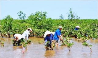 Việt Nam và Đan Mạch chia sẻ kinh nghiệm thích ứng biến đổi khí hậu