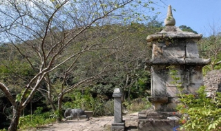 Di tích nhà Trần trở thành di tích quốc gia đặc biệt
