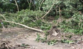 Trảng Bàng: 9 tháng đầu năm, thiên tai làm 1 người chết, 48 căn nhà bị tốc mái