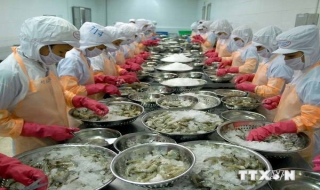Doanh nghiệp thuỷ sản Việt Nam tìm kiếm đối tác tại Australia