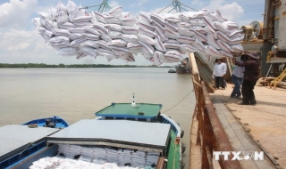Indonesia sẽ nhập khẩu 200.000 tấn gạo của Việt Nam