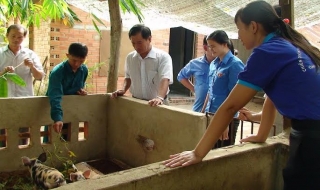 Gò Dầu: Phát triển kinh tế theo hướng làm ăn tập thể trong lực lượng ĐVTN