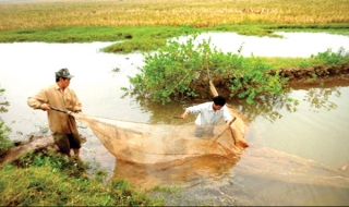 Mỗi năm một mùa rươi