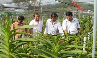 Kiểm tra công tác đào tạo nghề ngắn hạn cho lao động nông thôn huyện Trảng Bàng