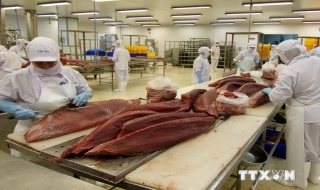 Việt Nam và Singapore tăng cường giao thương nông-thuỷ-hải sản