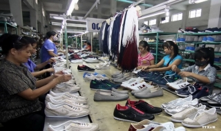 Các công ty Nga ngày càng quan tâm đến thị trường Việt Nam