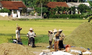 Doanh nghiệp nông nghiệp cần gì?