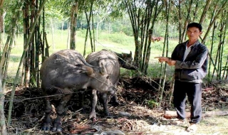 Tin An ninh trật tự