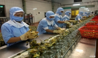 Việt Nam quảng bá các mặt hàng nông- lâm- thủy sản tại Ai Cập