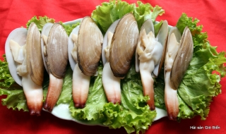 Đặc sản tu hài – Quảng Ninh