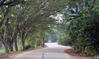 Có một làng cổ Hội An ở Tiên Phước, Quảng Nam