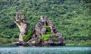 Vườn quốc gia Bái Tử Long – “kho báu” giữa trùng khơi
