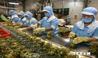 Nông sản Việt Nam có nhiều tiềm năng thâm nhập thị trường Singapore