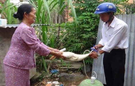 Thành phố Tây Ninh: Tăng cường phòng chống dịch cúm gia cầm