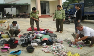 Tin an ninh trật tự