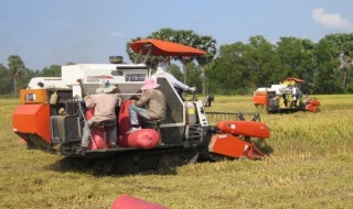 UBND huyện Bến Cầu làm việc với Đoàn chuyên gia Hàn Quốc