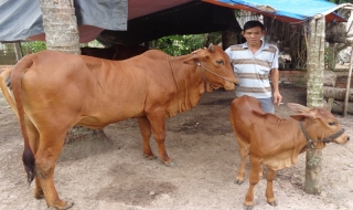 Cần tăng mức cho vay sản xuất, kinh doanh