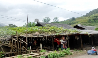 Dưới mái nhà bình yên