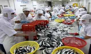 Thuỷ sản phấn đấu đạt kim ngạch xuất khẩu 8,5 tỷ USD năm 2015