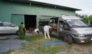 Vận chuyển hơn 300 khúc gỗ trắc trên xe khách