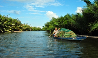 Dạo chơi nơi cửa biển