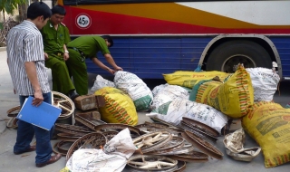 Nhập lậu sắt thép phế liệu, hai người bị phạt trên 100 triệu đồng