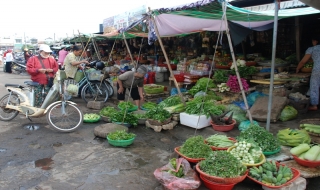 Đúng quy định nhưng… không phù hợp thực tế
