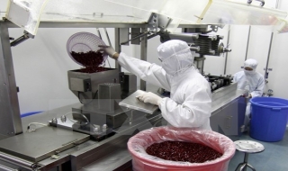 Xử phạt 3 công ty vi phạm quảng cáo thực phẩm chức năng