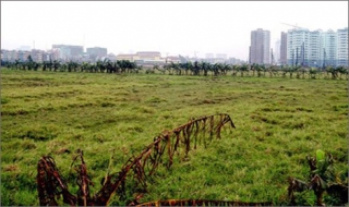 Lập đường dây nóng tiếp nhận thông tin vi phạm đất đai