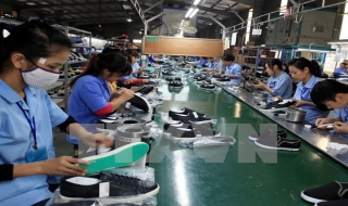 Kim ngạch thương mại Việt Nam – Singapore năm 2014 tăng hơn 20%