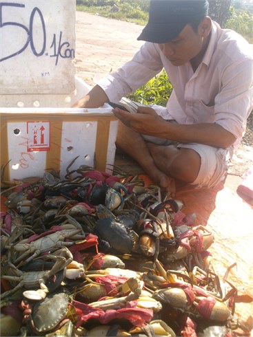ngo-doc-do-an-cua-bien-hinh-anh-2-dpvy.jpg ngo-doc-do-an-cua-bien-hinh-anh-2-dpvy.jpg