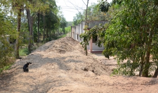 Một quyết định xử phạt không thuyết phục