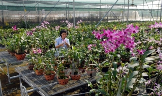 Malaysia muốn đầu tư phát triển công nghệ sinh học tại ĐBSCL