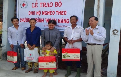 Hội Chữ thập đỏ thành phố Tây Ninh tặng bò sinh sản cho hộ nghèo