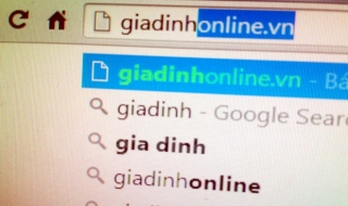 Xử phạt báo điện tử Gia đình Việt Nam 170 triệu đồng, tịch thu tên miền giadinhonline.vn