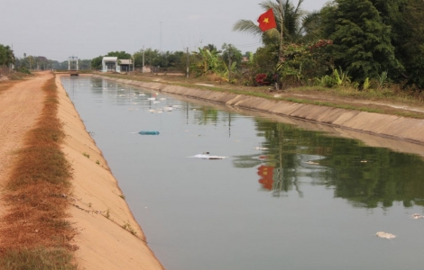 Châu Thành: Lại phát hiện xác gà vịt vứt bừa bãi dưới kênh