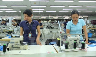 Kim ngạch thương mại Việt Nam-Singapore tiếp tục tăng mạnh