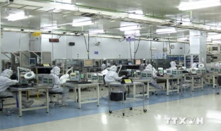 Các địa phương Nhật Bản tìm hiểu cơ hội hợp tác với TP.HCM