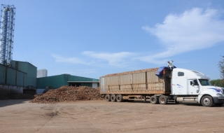 Cần những bước đột phá cho ngành mì
