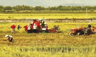 Nông nghiệp Việt Nam hấp dẫn nhà đầu tư