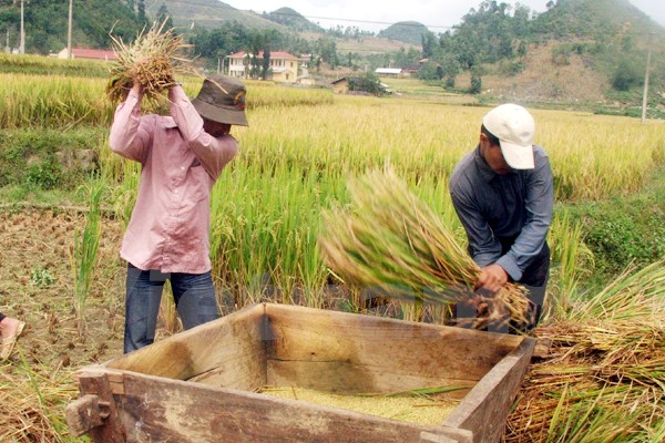 Ảnh chỉ có tính minh họa. Nguồn: Vietnam+