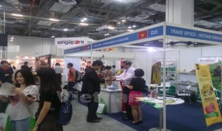Thương hiệu cà phê Việt có chỗ đứng tại thị trường Singapore
