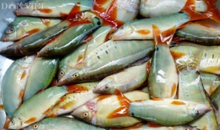 Cá heo kho tiêu – Đặc sản An Giang