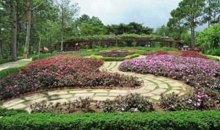 Những điều chưa biết về đồi Mộng Mơ