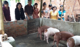 Hội LHPN thị trấn Dương Minh Châu: Hỗ trợ vốn cho hội viên khó khăn